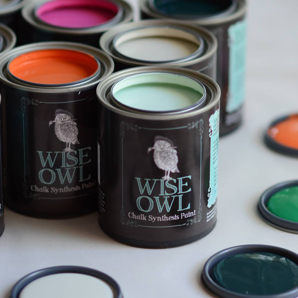 http://brusheddesignco.shop/cdn/shop/products/Wise-Owl-Chalk-Synthesis-Paint.jpg?v=1641938590