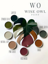 Load image into Gallery viewer, Summer in Ibiza Collection: Wise Owl Paint
