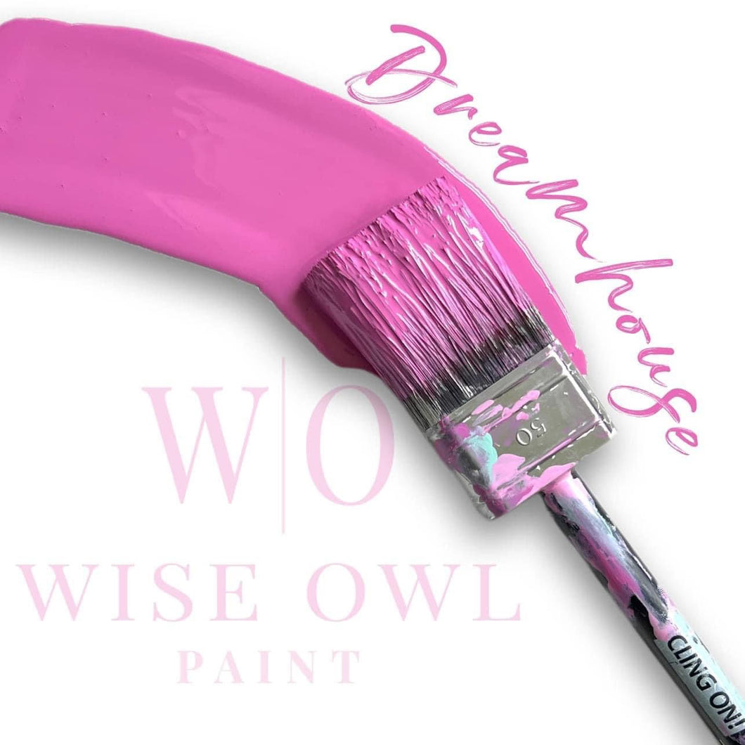 LIMITED EDITION Wise Owl Paint