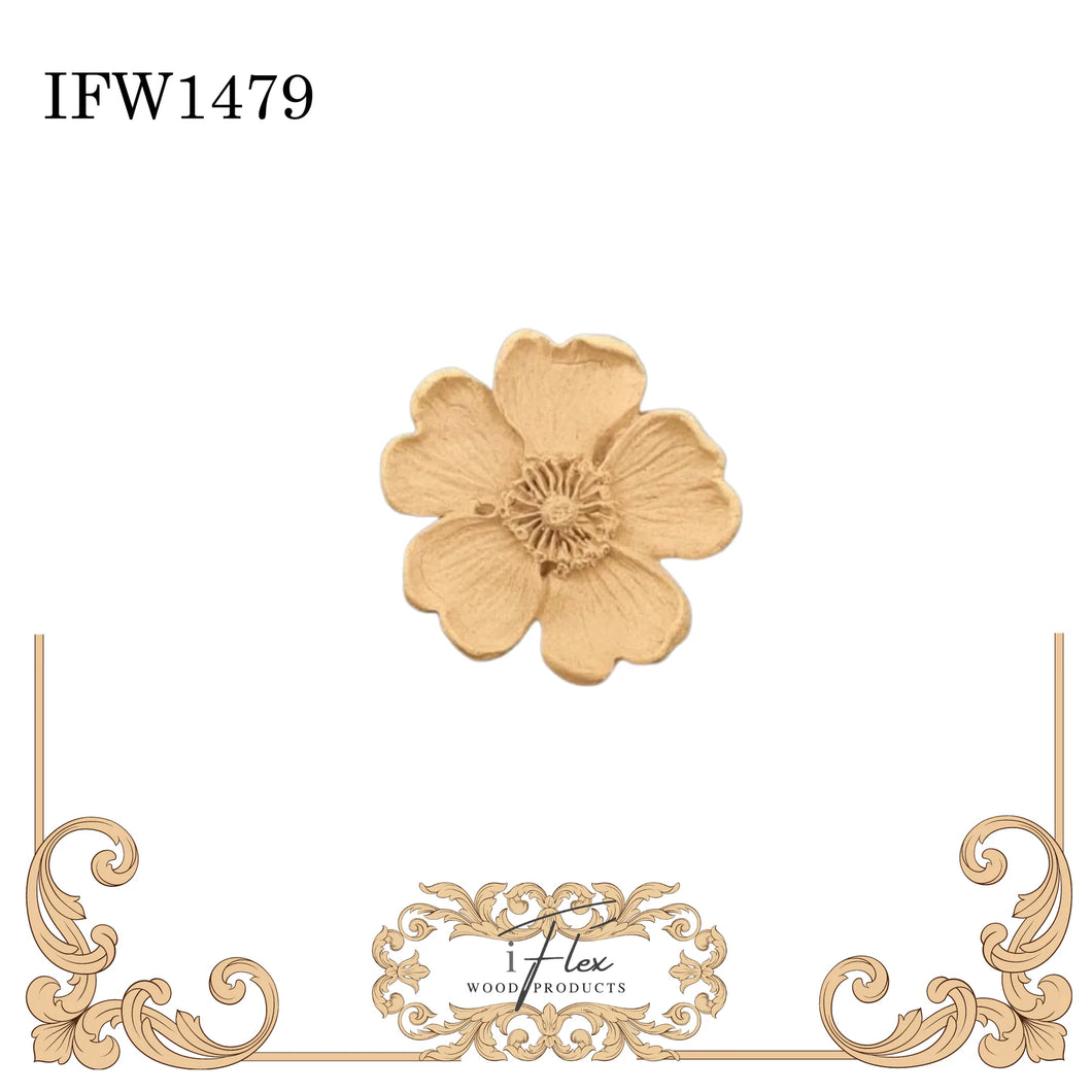 IFW 1479